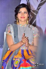 Raja The Great Movie Success Meet